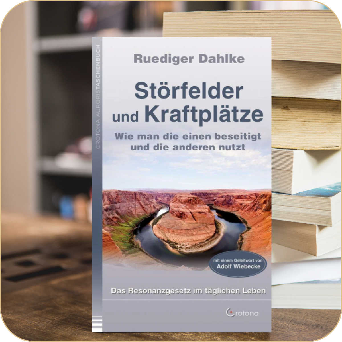 Dr. Ruediger Dahlke  „Störfelder und Kraftplätze“